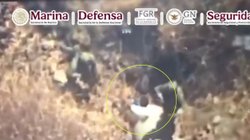 nacional_el_jardinero_b4fadcf901