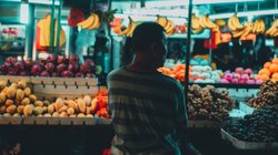 negocios_sheinbaum_ed201b3e38