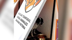 nl_animales_salinas_victoria_86e168aec9