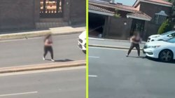 nl_atropellada_leones_de1cf464bf