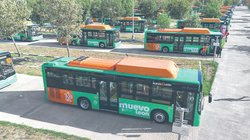 nl_camiones_5c98356add