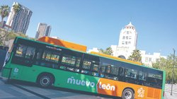 nl_camiones_f14d8ac207