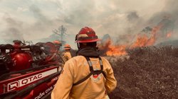 nl_incendios_9364111f00