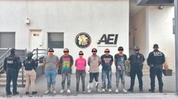 nl_narcolaboratorios_2a30c469e6