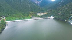 nl_presa_la_boca_92232773f9