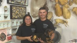 nl_taxidermia_ca13883b68