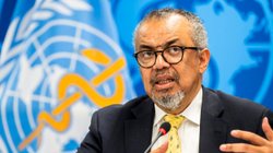 oms_director_bola_congo_viaje_cf6bb9318d