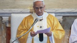 papa_leon_5de7e8fb20