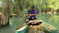 pesca_langostinos_6dea4aba34