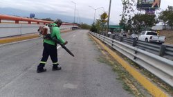 photo_5089219307698326620_y_4957dfb5e0