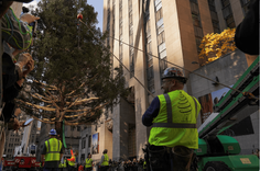 pino_rockefeller_5212051213