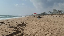 playa_2026_1bf69daf3d