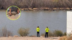 presa_cocodrilo_0c5d20c2ad