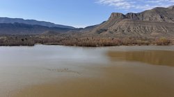 presa_palo_blanco_728cb42124