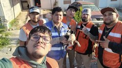 proteccion_civil_2026_perrito_0a8f14efc8