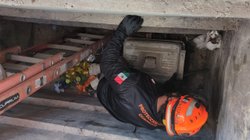 proteccion_civil_salva_gato_66f7095122