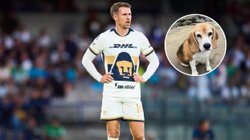 ramsey_perro_e85f32a78b