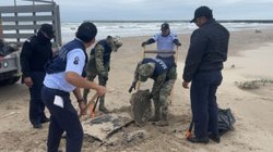 recolectan_236_kilos_hidrocarburo_playa_bagdad_mezquital_274e5d7d30