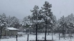 refuerzan_protocolos_tormenta_invernal_mexico_fa6041b06f