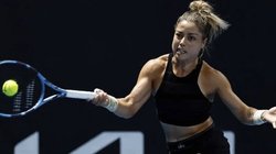 renata_tenista_89726c1941