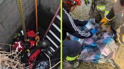 rescatan_a_perrita_cisterna_monterrey_ef77e39314