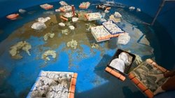 rescatan_mas_700_animales_exoticos_traficados_argentina_cf7aec9e88