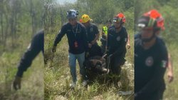 rescatan_oso_tras_recorrer_zonas_urbanas_de_santa_catarina_2fa8f0cb51