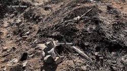 rescatan_tripulante_avion_derribado_estados_unidos_64d1726ac1