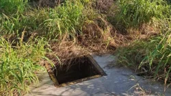 reynosa_desaparecidos_d70c3d1f77