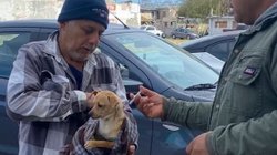 rickettsiosis_coahuila_medidas_6ff4484c8b