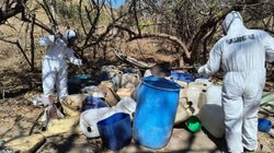 semar_labortario_bfb912e602