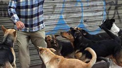 sgf45_I9_F2600_CZPI_Hq8_D_f85d030d58