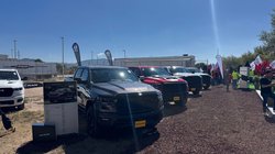 stellanis_saltillo_2dfb465d75