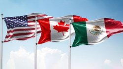 t_mec_ebrard_julio_2539c5d3ee