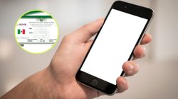 telefono_curp_9_enero_f35aee3034