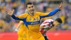 tigres_06f5859274