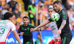 tigres_2_2_c922147c39