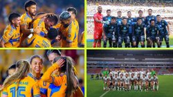 tigres_qro_datos_1042a07c4c