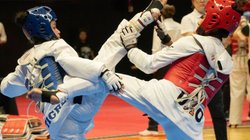 tigres_taekwondo_6dc57af4fc