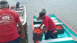 tomates_archivo_84494f9b90