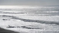 tsunami_f4734608f3