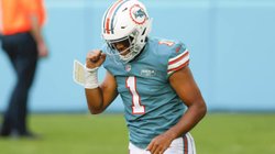 tuga_dolhpins_f25218dc40