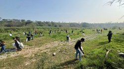 voluntarios_retiran_casi_70_toneladas_40_jornadas_456c208fe6